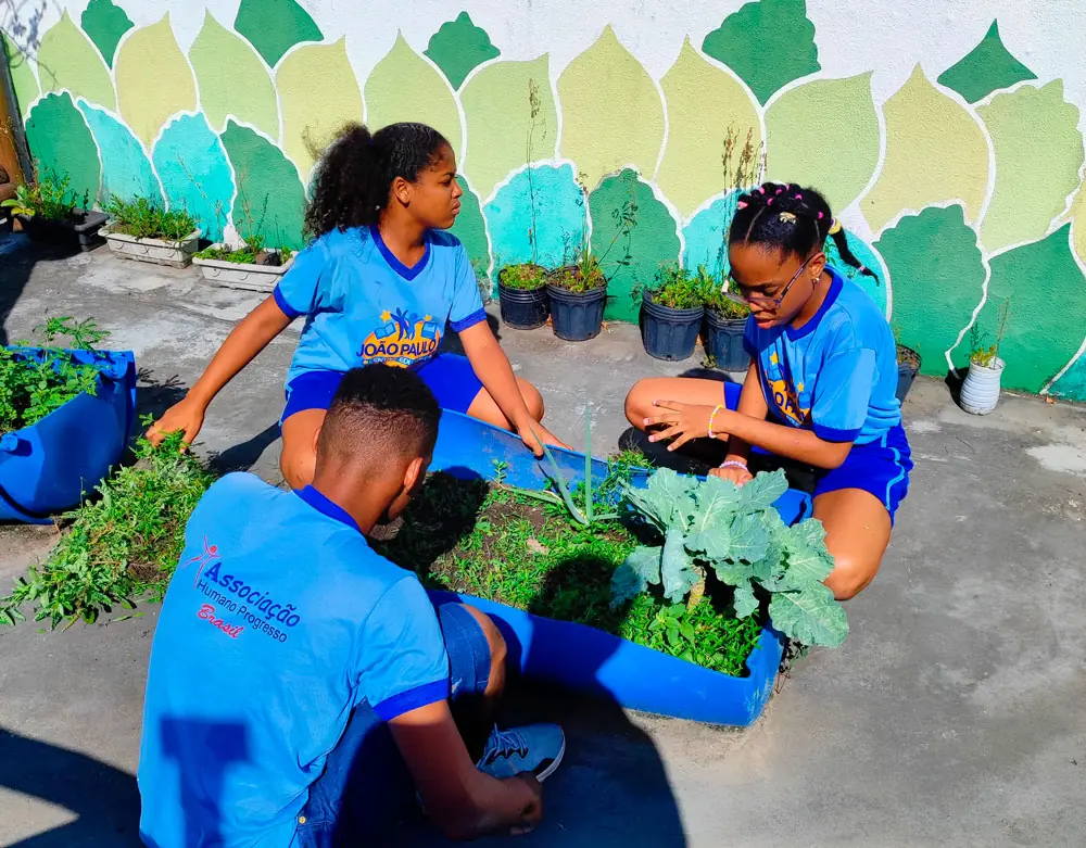 PLANTANDO-E-COLHENDO